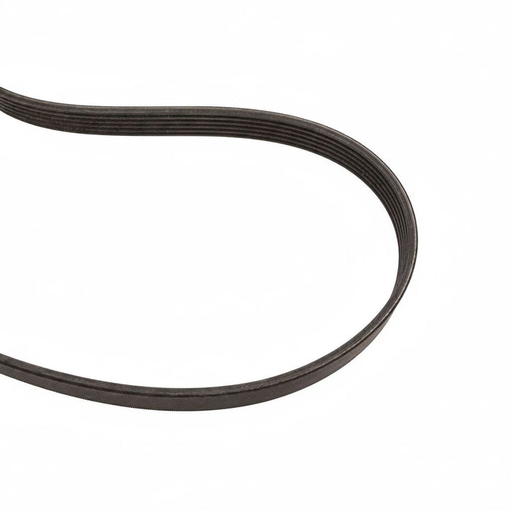 1.5 EcoBoost Alternator Drive V-Belt 2014-2020