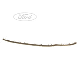 FIESTA FRONT BUMPER RADIATOR GRILLE SURROUND SEAL