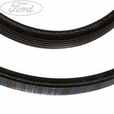 DRIVE V BELT