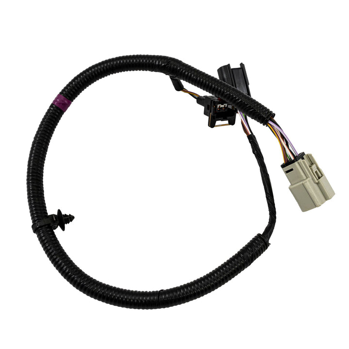 Transit Chassis Cab Rear Number Plate Light Wire 2022-Onwards