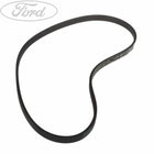 FOCUS DRIVE V BELT