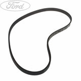 FOCUS DRIVE V BELT