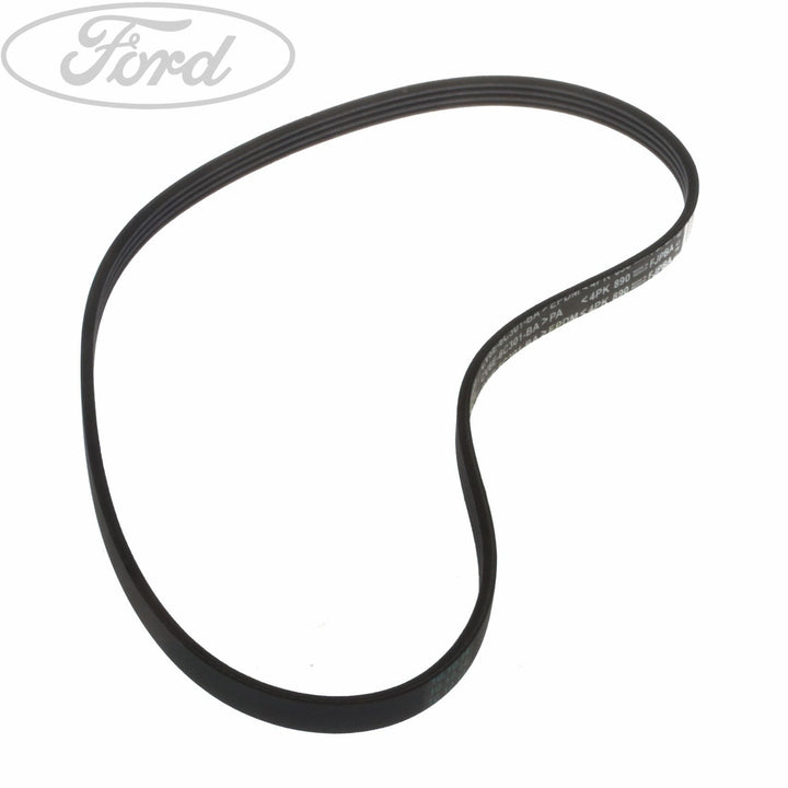 FOCUS DRIVE V BELT