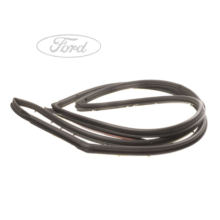 FIESTA N/S FRONT DOOR WEATHERSTRIP SEAL
