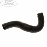 RADIATOR HOSES
