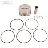 2.5 DURATEC RS ST PISTON RING AND PIN GRADE D 08-12