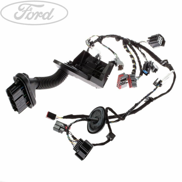 FRONT N/S PASSENGER DOOR BODY CLOSURE WIRING