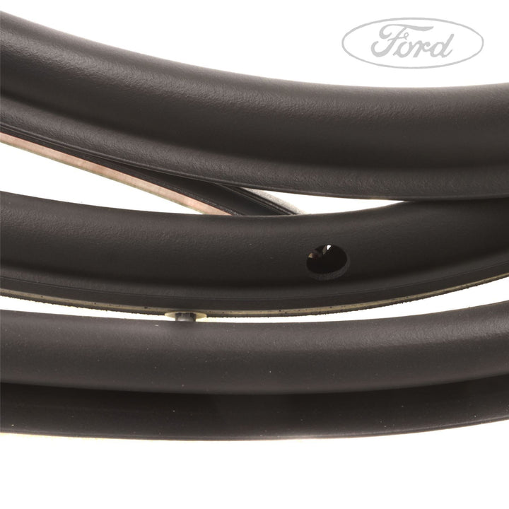 FIESTA N/S FRONT DOOR WEATHERSTRIP SEAL
