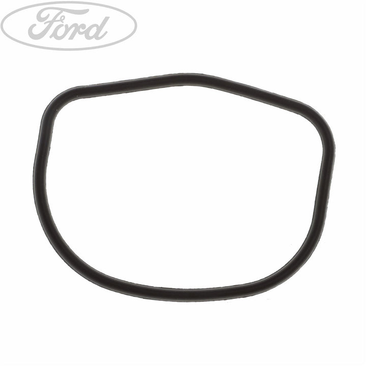 THERMOSTAT SEAL