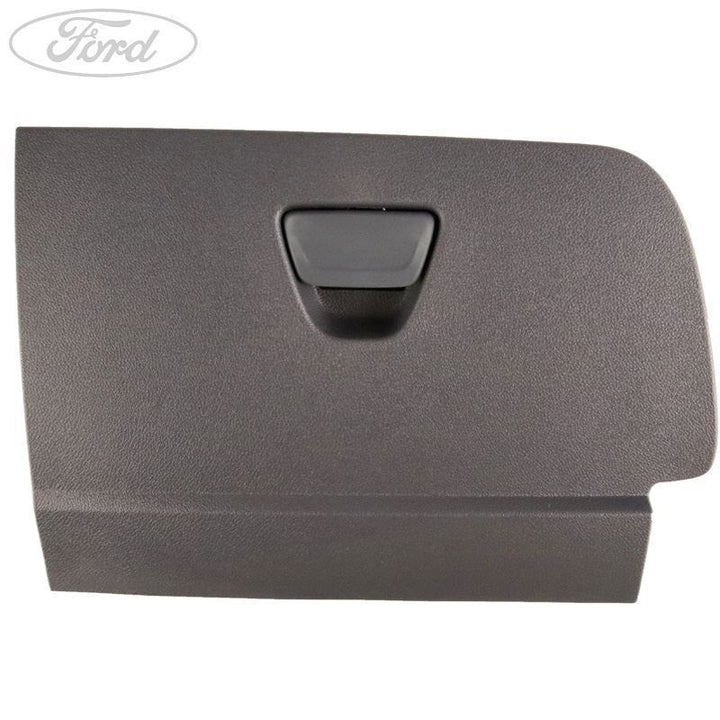 GLOVE COMPARTMENT DOOR