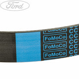 TRANSIT DRIVE V BELT