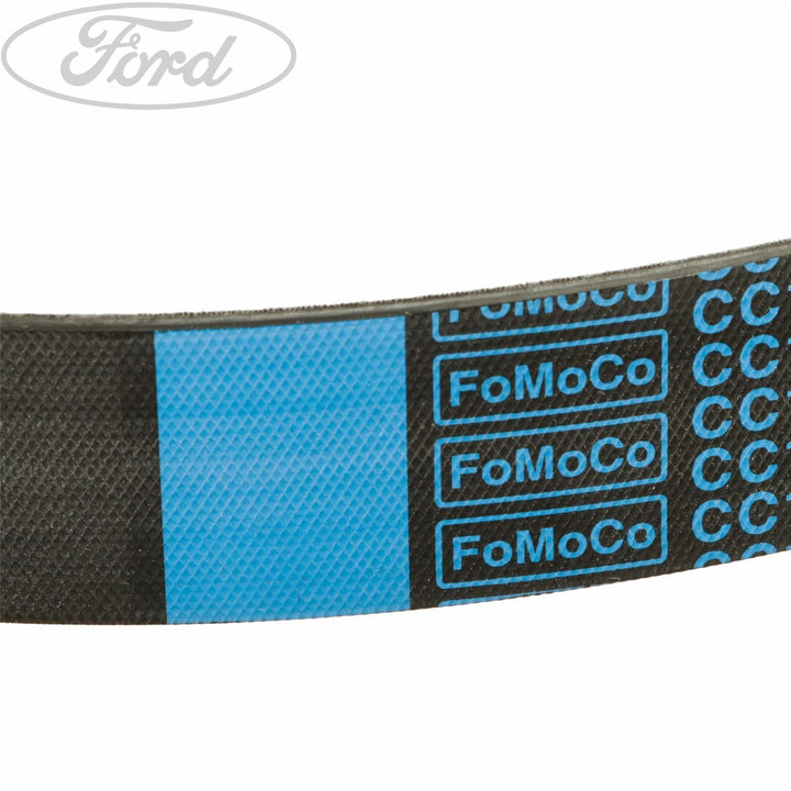 TRANSIT DRIVE V BELT