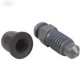 BRAKE CALIPER BLEED SCREW