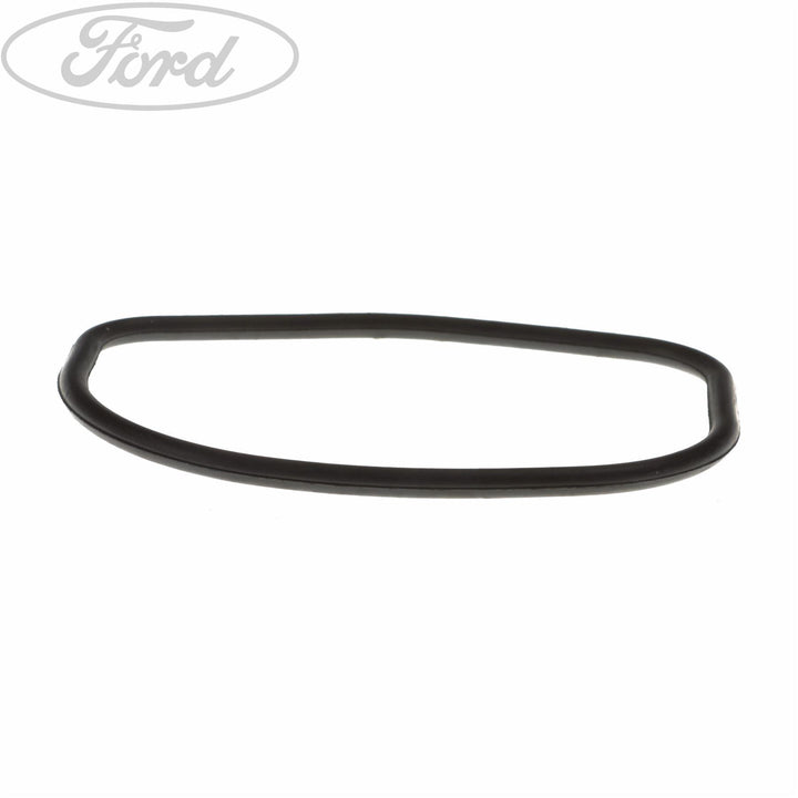 THERMOSTAT SEAL