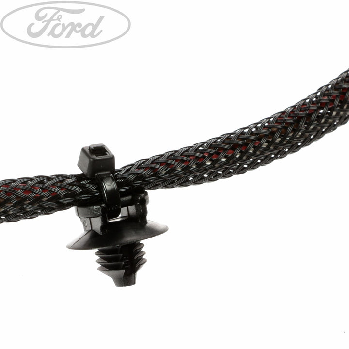 FOCUS ENGINE & TRANSMISSION WIRING