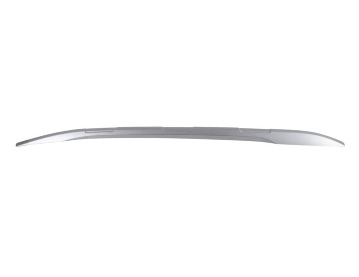 ECOSPORT ROOF RAIL CAP