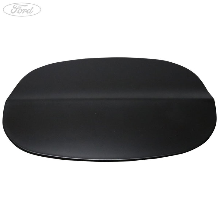 FUEL TANK FILLER ACCESS DOOR