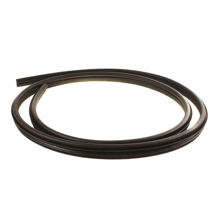 FOCUS FRONT DOOR WEATHERSTRIP SEAL