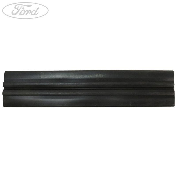 FIESTA REAR DOOR GLASS RUNNER SEAL 2012-