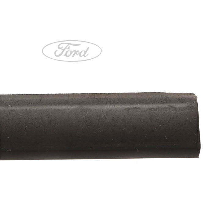 FIESTA FRONT DOOR BELT WEATHERSTRIP