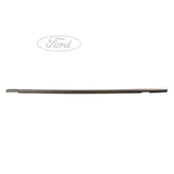 FIESTA FRONT DOOR BELT OUTER WEATHERSTRIP
