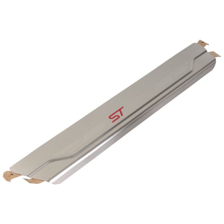 FIESTA MK8 FRONT DOOR SILL PROTECTOR WITH ST LINE LOGO 20