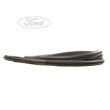 FIESTA N/S FRONT DOOR WEATHERSTRIP SEAL