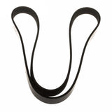 C-MAX FOCUS DRIVE V BELT