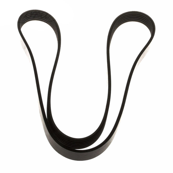 C-MAX FOCUS DRIVE V BELT